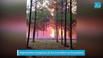 Impactantes imágenes de los incendios en Corrientes