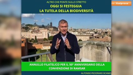 Ambiente: Pecoraro "Festa per convenzione Ramsar, altro che ponte sullo Stretto"