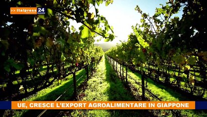 Cresce l’export agroalimentare in Giappone