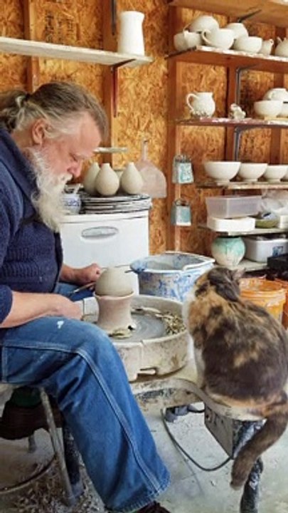 Cat Plays With Pottery Wheel