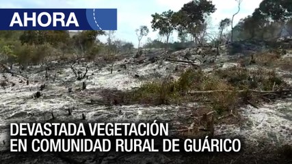 Devastada vegetación en comunidad rural de #Guárico - #17Feb - Ahora