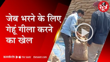 उमरिया में राशन का गेहूं गीला करके भेज रहे; अफसरों ने पकड़ा, अब कार्रवाई