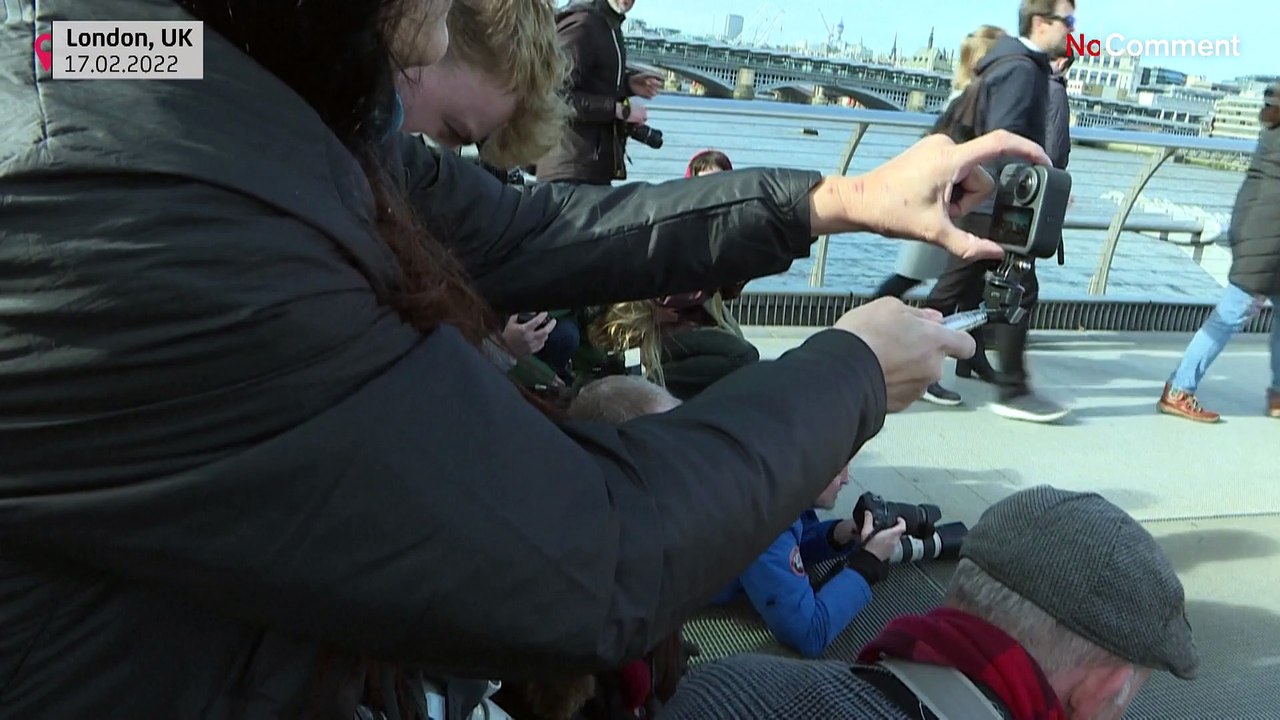 PETA protesters in London urge fashion industry to stop using feathers