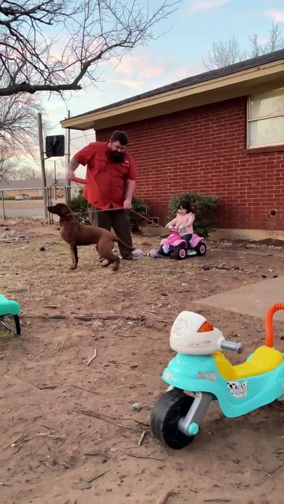 Girl Crashes on Four-Wheeler Pulled by Lab