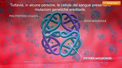 Talassemia, un cortometraggio racconta le esperienze di chi convive con la malattia