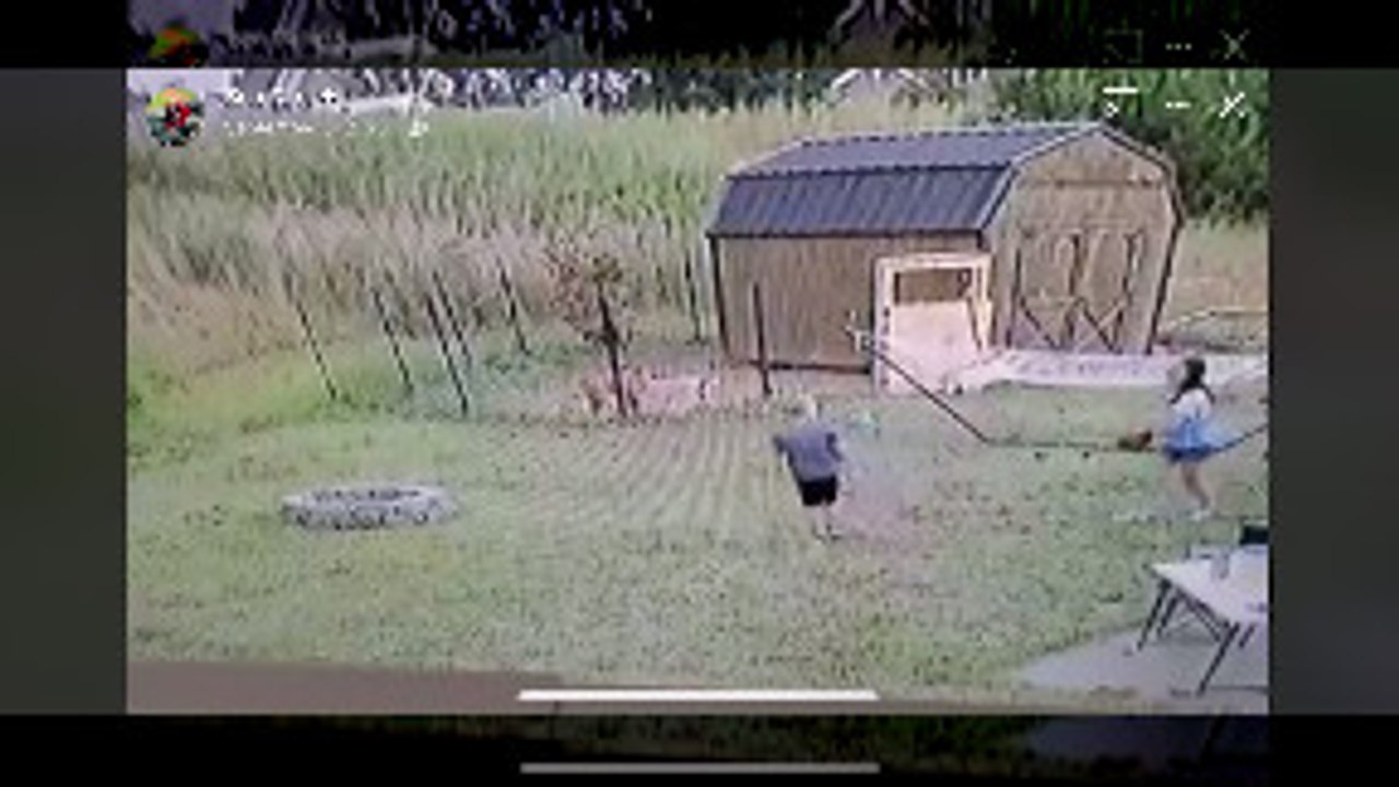 Kid Gets Hit in Face with Dodgeball and Falls in Firepit