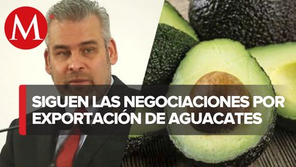 Gobernador de Michoacán espera reactivar exportaciones de aguacate la próxima semana