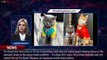 Pot Roast — One of the Most Beloved Cats on TikTok — Has Died, the Pet's Owner Confirms - 1breakingn