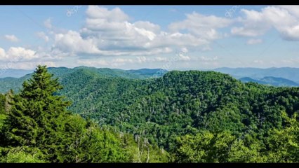 Smoky Mountain Dreaming Dr. Robert Ownby