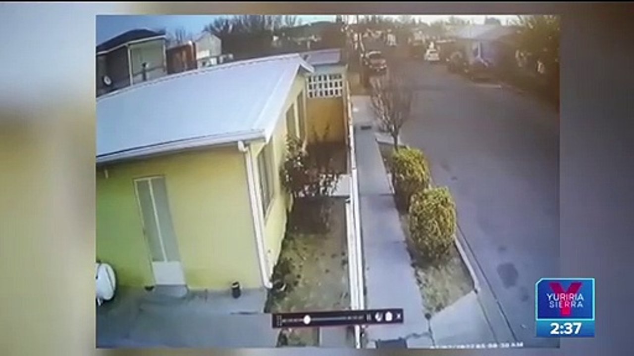 Aves chocaron contra líneas eléctricas: Profepa