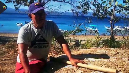 ext-abstencion-elecciones-170222