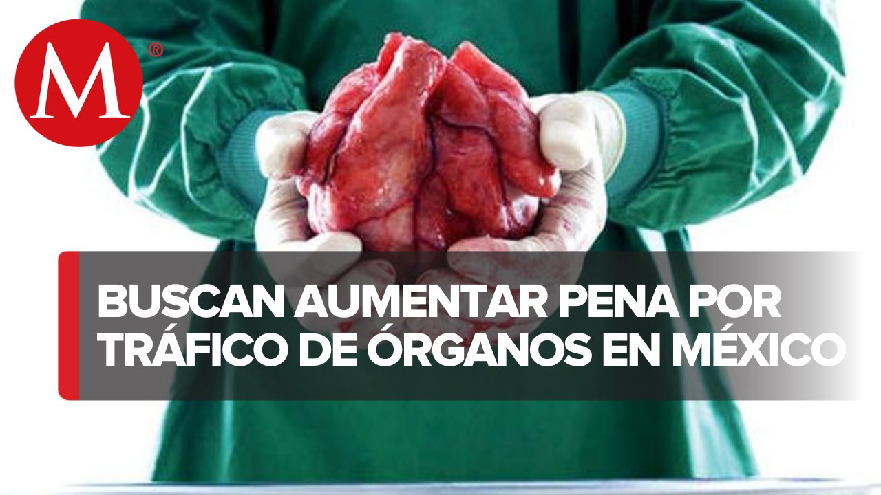 Congreso de CdMx propone sancionar el tráfico de órganos hasta con 22 años de prisión