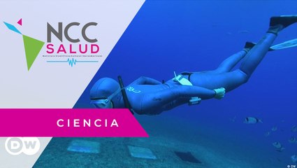 Apnea deportiva: Un respiro y sumergirse metros bajo el agua sin equipo