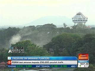 Pressure on Sarawak planters