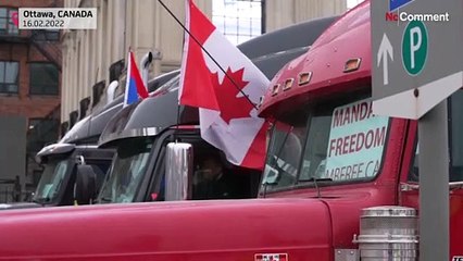 Warnung an die Freedom-Trucker: "Wenn ihr freiwillig gehen wollt, dann jetzt"