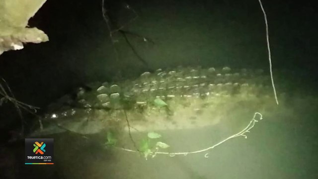 btn7-Hombre peleó en dos ocasiones contra cocodrilo para tratar de rescatar a su amigo -170222