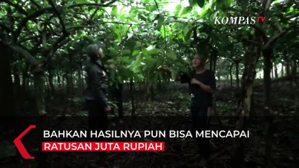 Kisah Sukses! dari Penjual Knalpot, Kini jadi Pengekspor Kopi ke Mesir