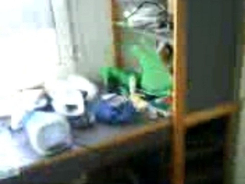 MOV00207