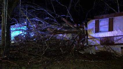 Tree crashes through Alabama mobile home during suspected tornado