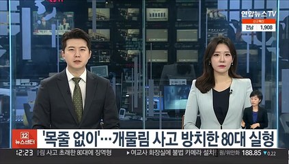 '목줄 없이'…개물림 사고 방치한 80대 실형 선고