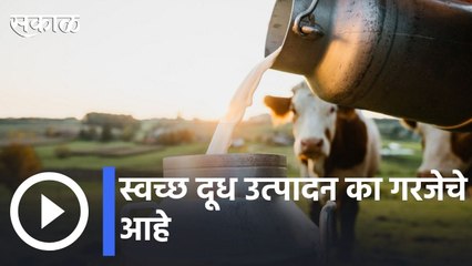 Hygienic Milk Production | स्वच्छ दूध उत्पादन का गरजेचे आहे | Sakal |