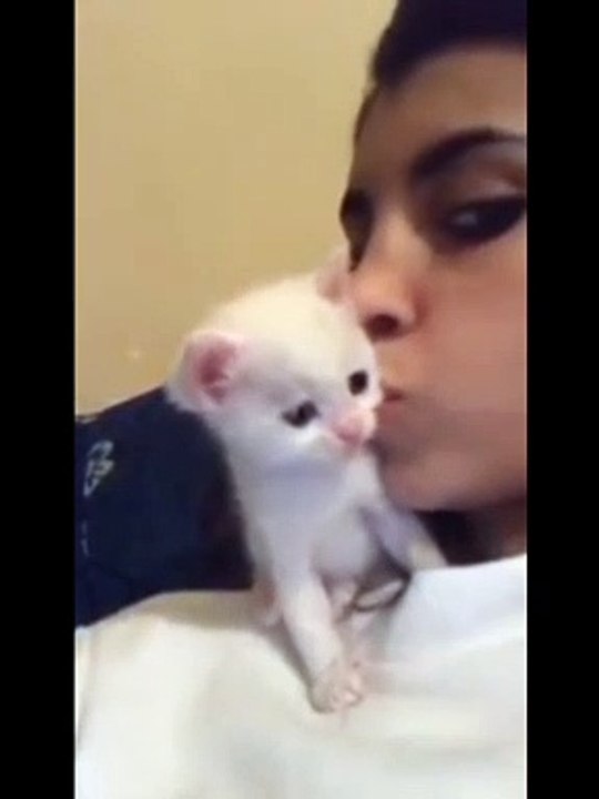 Cute cat, cats funny videos, funny videos, follow me for more interesting video