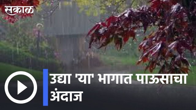 Weather Forecast | हवामान अंदाजानुसार राज्यात कुठे कुठे पाऊस होणार | Sakal |