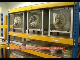 Malaysia perlu bangunkan teknik kesan virus denggi