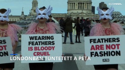 Londonban tüntettek a PETA állatjogi aktivistái