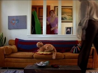 DANK AND NANK 49 - Cat Whisperer