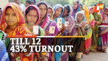 WATCH | Odisha Votes In 2nd Phase Rural Polls | Watch Visuals From Across State | Panchayat Elections 2022