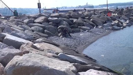 Çakıl Köyü ve Çevresi Su Ürünleri Kooperatifi Başkanı Hakkı Sır, " Deniz çekilmesi Gel - Git doğa olayıdır, korkulacak bir durum yok"