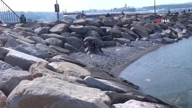 Çakıl Köyü ve Çevresi Su Ürünleri Kooperatifi Başkanı Hakkı Sır, Deniz çekilmesi Gel - Git doğa olayıdır, korkulacak bir durum yok