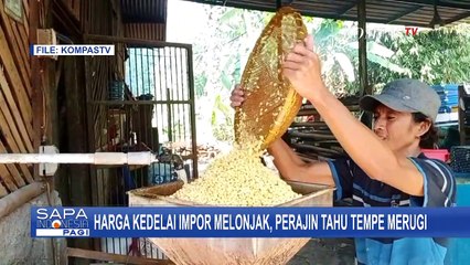 Tingginya Permintaan Tiongkok dan Pengaruh Cuaca di AS, Jadi Penyebab Naiknya Harga Kedelai Impor