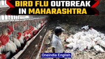 Bird Flu outbreak reported in Thane, authorities urge people not to panic | Oneindia News