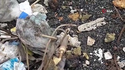 Bu ne rahatlık! Çevre felaketinin ortasında piknik yaptılar