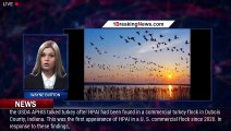 Bird Flu Continues To Spread, Avian Influenza Outbreak In Long Island, New York - 1breakingnews.com