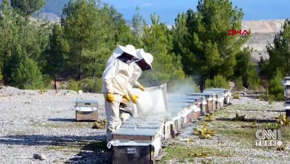 Bal ormanlarından ekonomiye 300 milyon TL'lik katkı