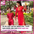 Hội Mẹ Vợ Trẻ Trung, Sành Điệu Của Các Sao Nam Việt | Điện Ảnh Net