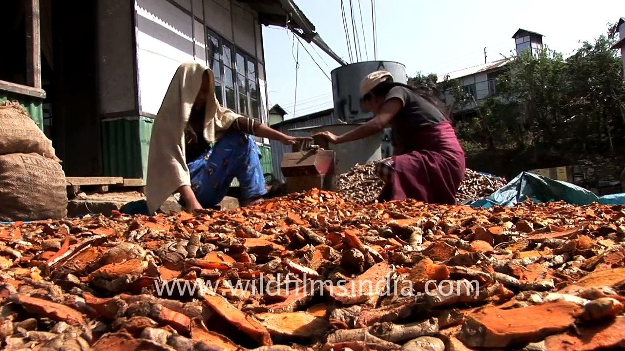 Turmeric grinding machine, Reiek