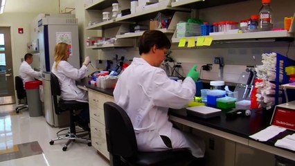 Imprese, 526mila assunzioni a settembre