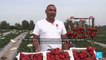 Victory is sweet: Giant strawberry earns Israeli farmer a Guinness World Record