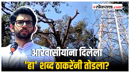 आरेतील एका प्लांटसाठी विनापरवानगी झाडांची कत्तल