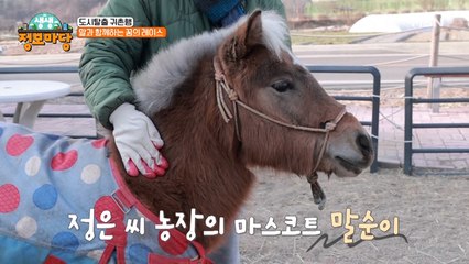 강아지 같은 말(馬)이 있다!? 애교 폭발! 포니 가족을 소개합니다~