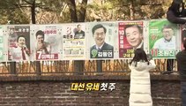 [영상구성] 20대 대선 선관위 벽보 부착