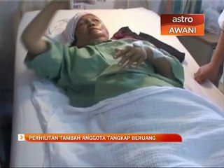 PERHILITAN tambah anggota tangkap beruang
