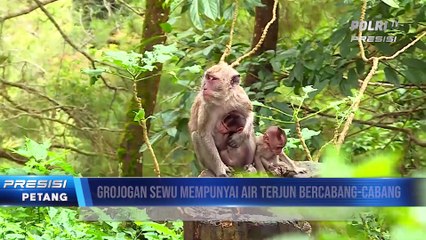 Wisata Air Terjun Grojogan Sewu Tawangmangu Jateng
