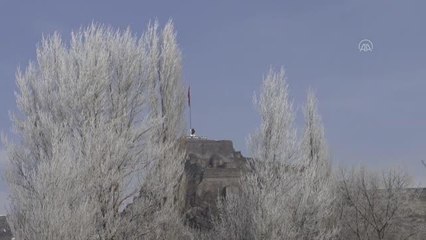 Ağaç ve bitkiler kırağıyla beyaza büründü (2)