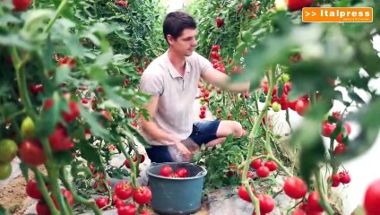 Agricoltura, UE lancia la giornata della produzione biologica