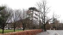 Storm Eunice: St John's Park, Burgess Hill